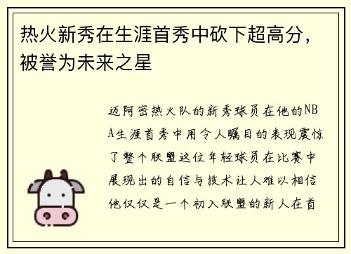 热火新秀在生涯首秀中砍下超高分，被誉为未来之星